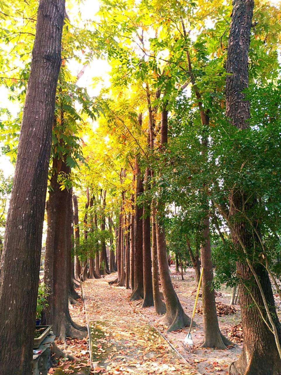 Meinong Yun Shanju Homestay Mei-nung Buitenkant foto