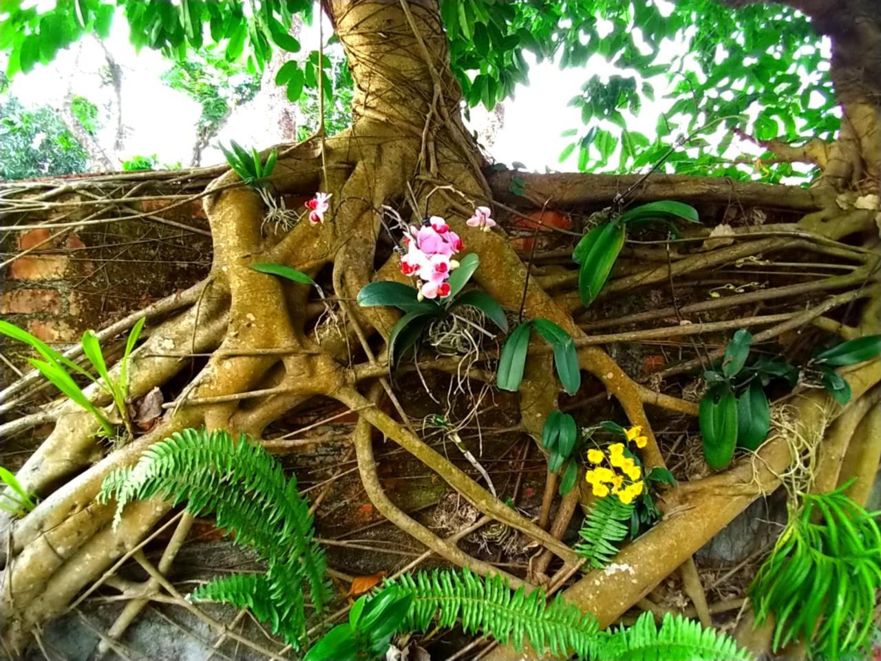 Meinong Yun Shanju Homestay Mei-nung Buitenkant foto